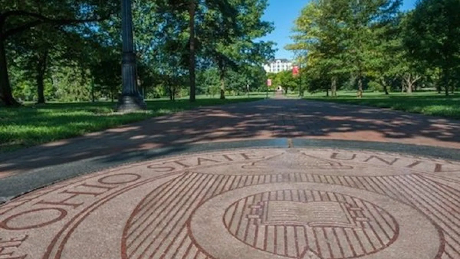 Oval