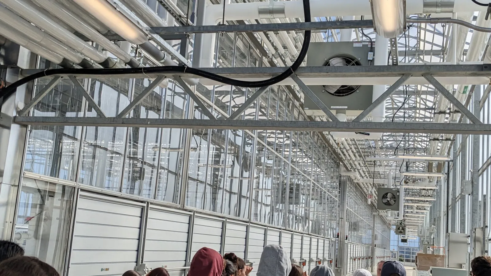 The students' first look of the greenhouse spaces