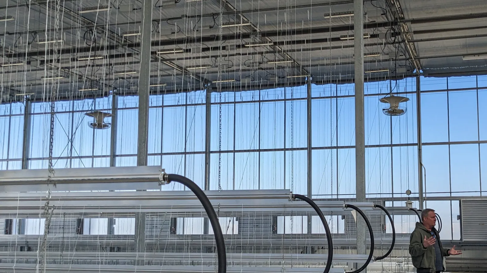 A greenhouse for vine plants