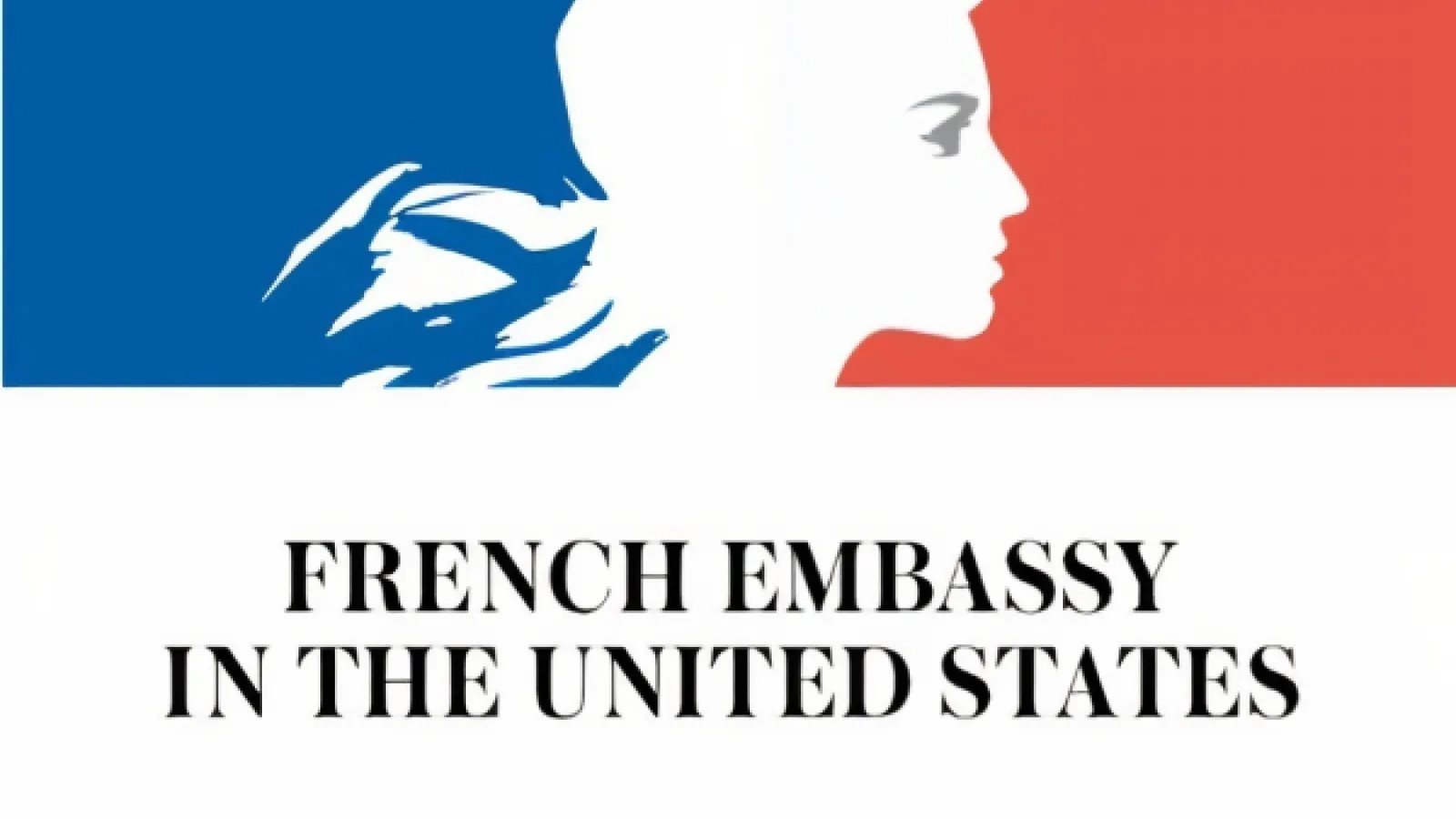 French flag with silhouette
