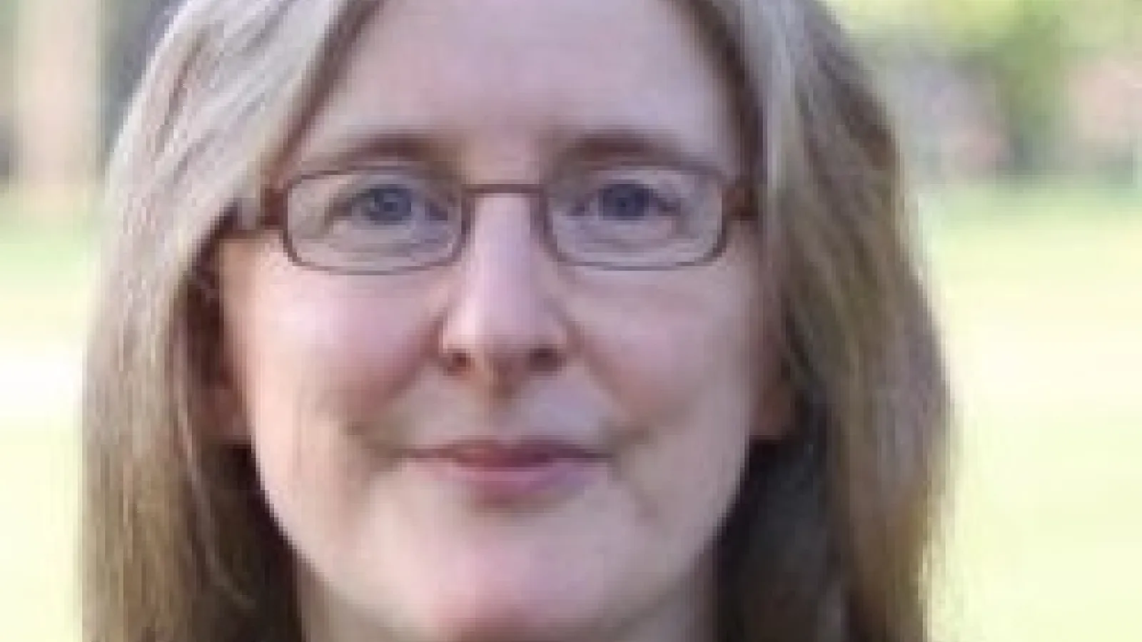 Professor Dorothy Noyes