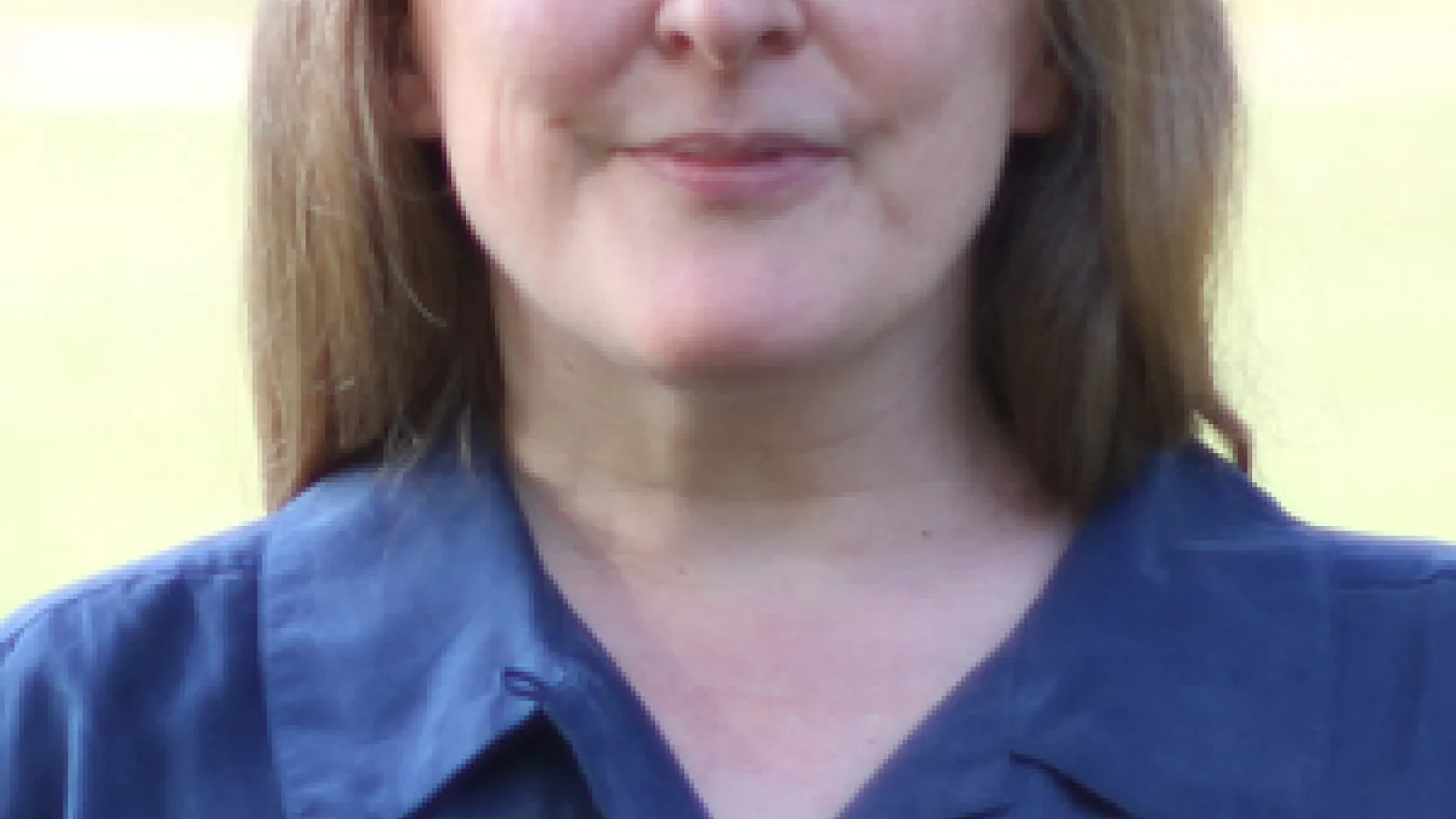 Dorothy Noyes Headshot