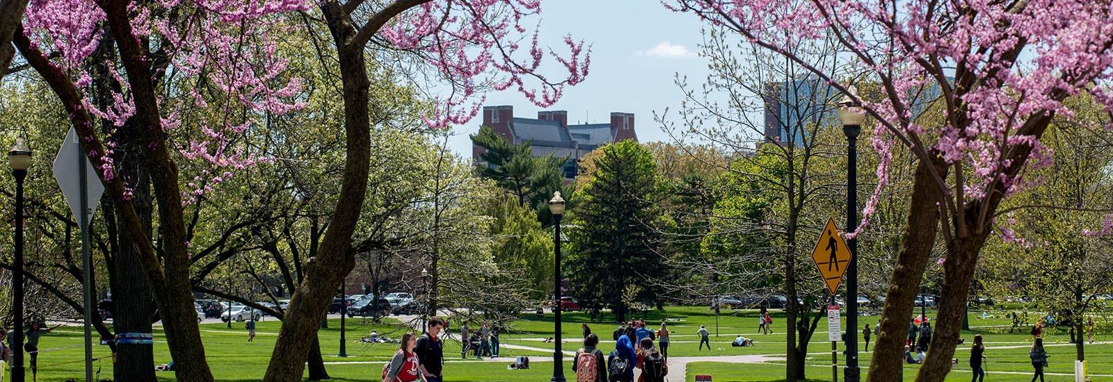 Ohio State Oval in Spring